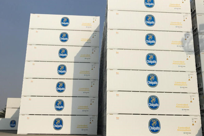 Intelligente Kühlbehälter verbessern die Nachhaltigkeit und garantieren beste Bananenqualität im Regal