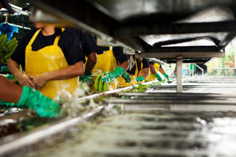 Wasser-Fußabdruck-Management auf Chiquita Farmen spart 1,8 Milliarden Liter Wasser pro Jahr ein - 2