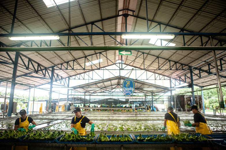 Wasser-Fußabdruck-Management auf Chiquita Farmen spart 1,8 Milliarden Liter Wasser pro Jahr ein - 4