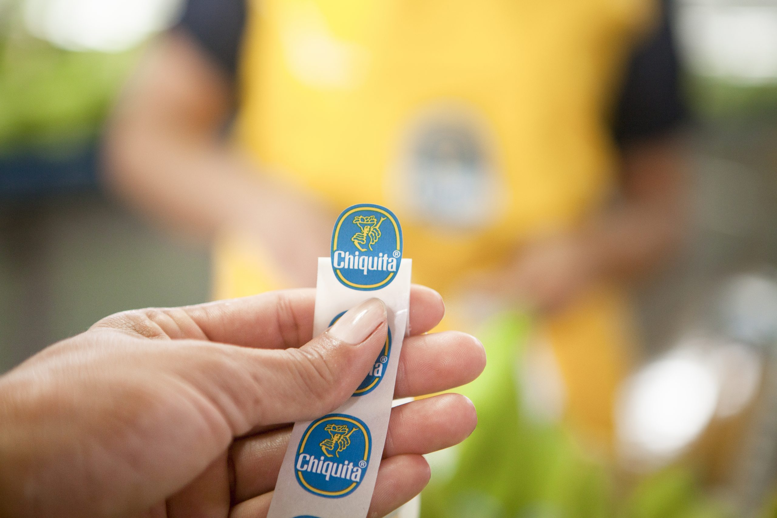 Nachhaltigkeit. Es kommt darauf an, was hinter dem blauen Sticker steckt