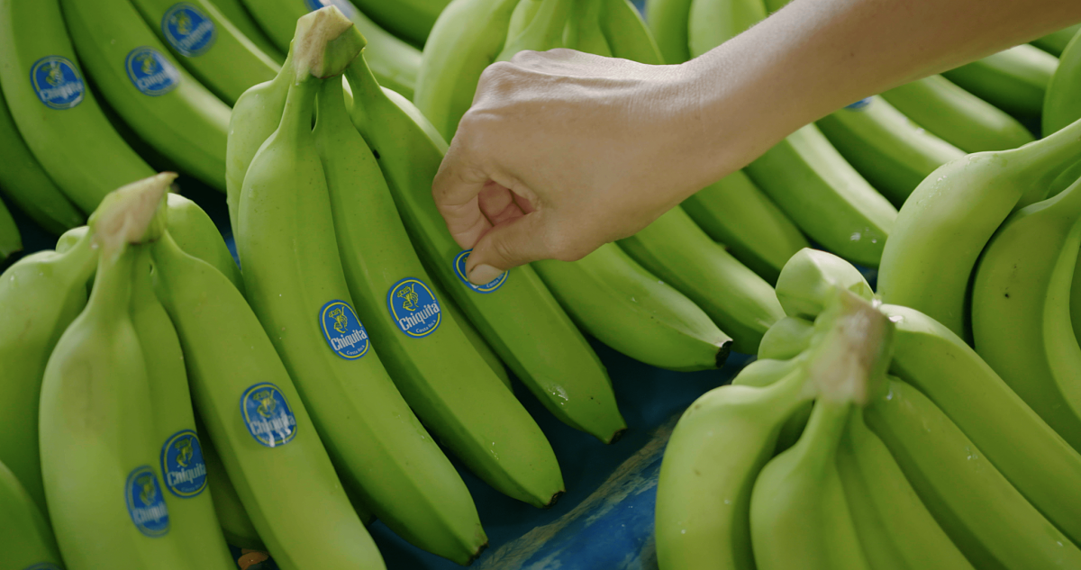 Chiquita und die Ziele für nachhaltige Entwicklung der UN: unser Engagement für einen nachhaltigen Planeten